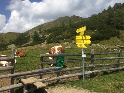 Holiday apartment Villa Seeblick Souterrain - Environment photo 30