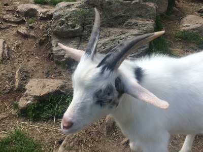 Holiday apartment Villa Seeblick Souterrain - Environment photo 31