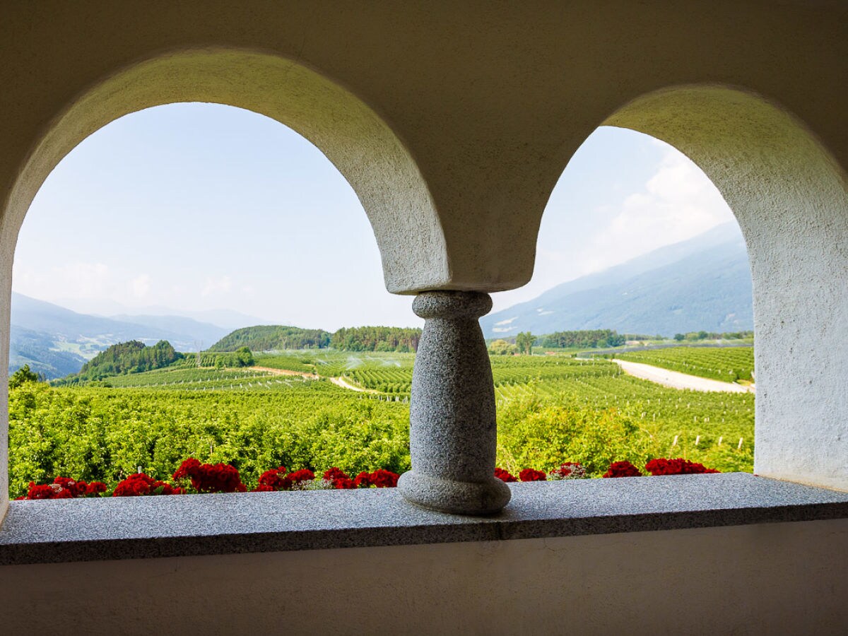 Holiday apartment Pichlerhof - Outdoor photo 5