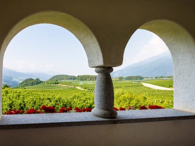 Holiday apartment Pichlerhof - Outdoor photo 5