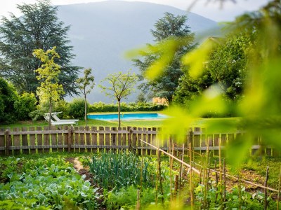 Holiday apartment Pichlerhof - Outdoor photo 9