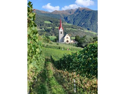 Holiday apartment Pichlerhof - Outdoor photo 12