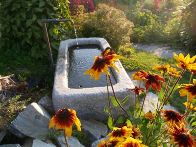 Holiday apartment Pichlerhof - Outdoor photo 16