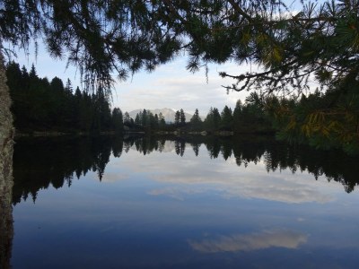 Holiday apartment Pichlerhof - Environment photo 31