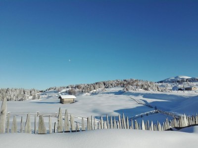 Holiday apartment Pichlerhof - Environment photo 34