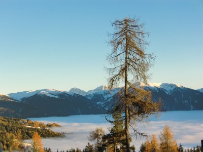 Holiday apartment Pichlerhof - Environment photo 35