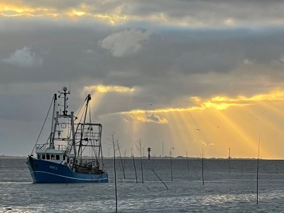Holiday apartment Leuchtturm - Outdoor photo 6