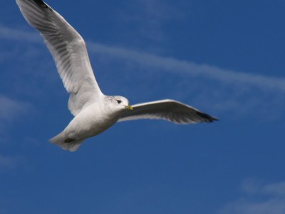 Holiday apartment Leuchtturm - Environment photo 20