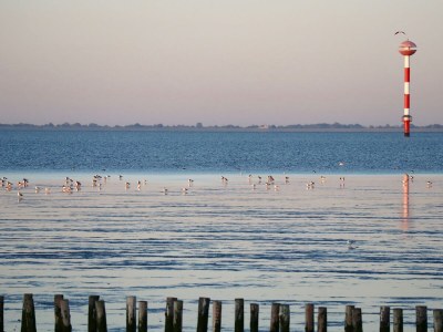 Holiday apartment Leuchtturm - Environment photo 22