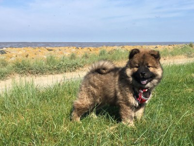 Holiday apartment Leuchtturm - Environment photo 26