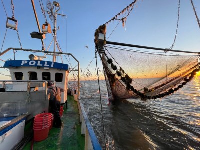 Holiday apartment Leuchtturm - Environment photo 27
