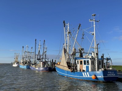 Holiday apartment Leuchtturm - Environment photo 28