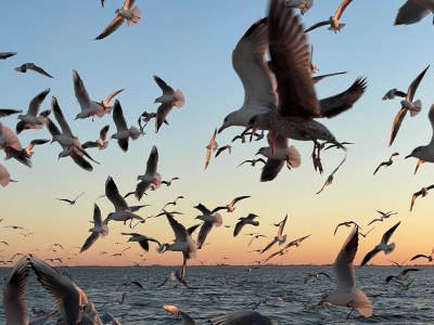 Holiday apartment Leuchtturm - Environment photo 29