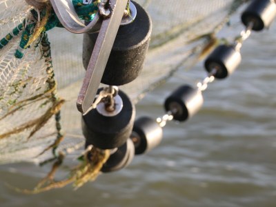 Holiday apartment Leuchtturm - Environment photo 30