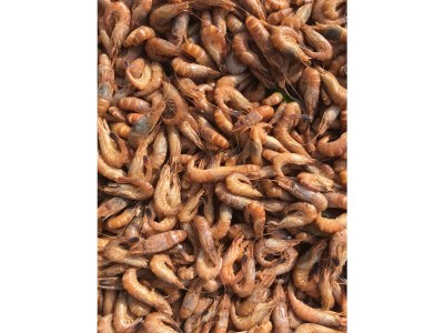 Holiday apartment Leuchtturm - Environment photo 31