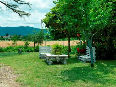Holiday house Podere I Gigli - Outdoor photo 5