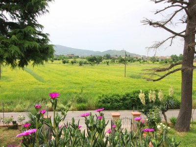 Holiday house Podere I Gigli - Outdoor photo 10