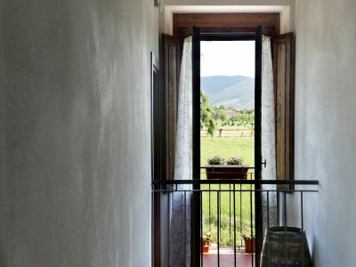 Holiday house Podere I Gigli - Features photo 25