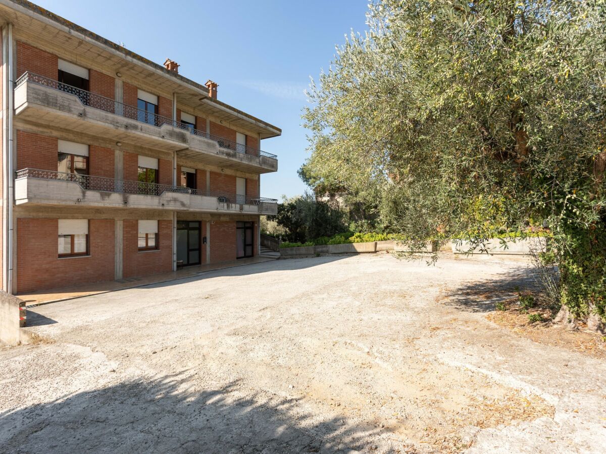 Apartment Apartment in Tuscany near Lake Trasimeno - Outdoor photo 2