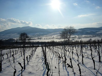 Holiday apartment Les Petits Tisserands "Côté Jardin" - Environment photo 30