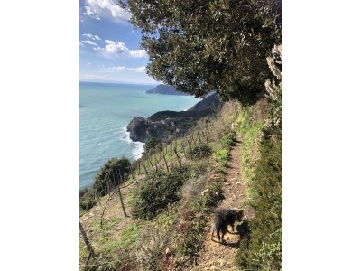 Holiday apartment Holiday Cinque Terre - Environment photo 36