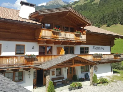 Holiday apartment App. Bruggerhof am Klausberg in Steinhaus / Ahrntal - Holiday apartment