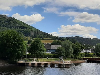 Holiday apartment VivaNatura Eifelferienappartement - Environment photo 19