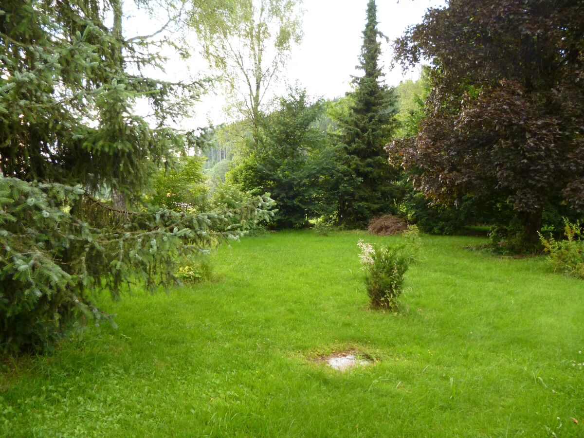 Holiday apartment Rotkehlchen - Outdoor photo 3