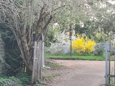 Holiday apartment Rotkehlchen - Outdoor photo 10