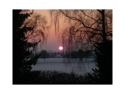 Holiday apartment Rotkehlchen - Outdoor photo 13