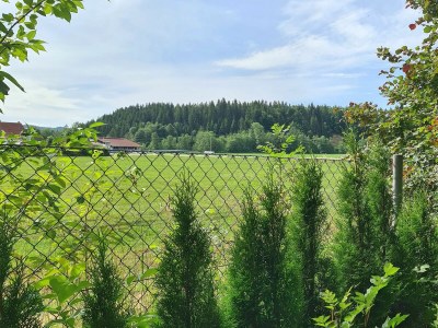 Holiday apartment Rotkehlchen - Outdoor photo 15