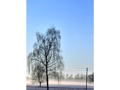 Holiday apartment Rotkehlchen - Outdoor photo 17