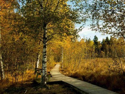 Holiday apartment Rotkehlchen - Outdoor photo 18