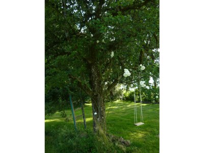 Holiday apartment Rotkehlchen - Outdoor photo 19