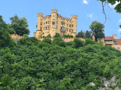 Holiday apartment Rotkehlchen - Environment photo 39