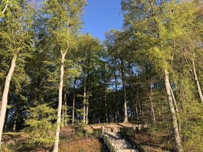 Holiday apartment Villa Louisa - Ferienwohnung 57 in Sellin - Outdoor photo 7