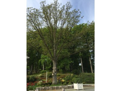 Holiday apartment Villa Louisa - Ferienwohnung 57 in Sellin - Outdoor photo 12