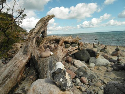 Holiday apartment Villa Louisa - Ferienwohnung 57 in Sellin - Environment photo 36