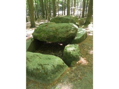 Holiday apartment Villa Louisa - Ferienwohnung 57 in Sellin - Environment photo 39