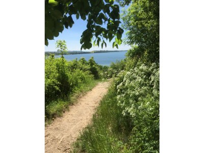 Holiday apartment Villa Louisa - Ferienwohnung 57 in Sellin - Environment photo 40