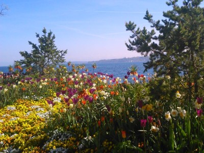 Holiday apartment Bodenseeperle - Environment photo 15