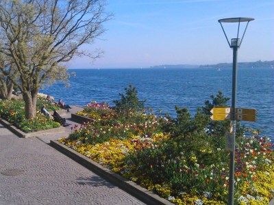 Holiday apartment Bodenseeperle - Environment photo 17