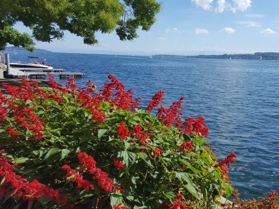 Holiday apartment Bodenseeperle - Environment photo 18