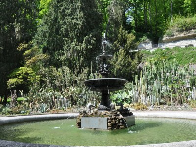 Holiday apartment Bodenseeperle - Environment photo 20