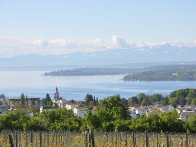 Holiday apartment Bodenseeperle - Environment photo 23