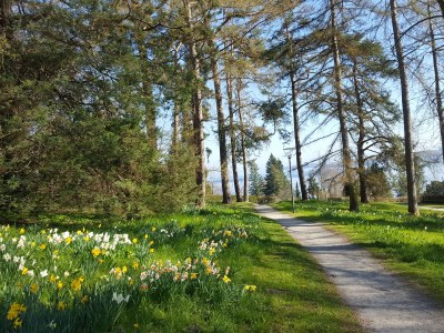 Holiday apartment Bodenseeperle - Environment photo 25