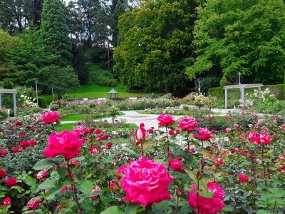 Holiday apartment Bodenseeperle - Environment photo 27