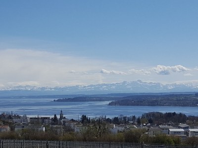 Holiday apartment Bodenseeperle - Environment photo 28