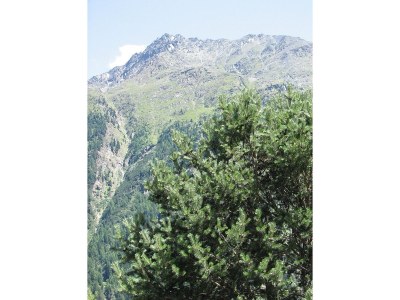 Holiday apartment Haus Berthold - Environment photo 16