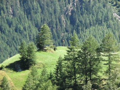 Holiday apartment Haus Berthold - Environment photo 18